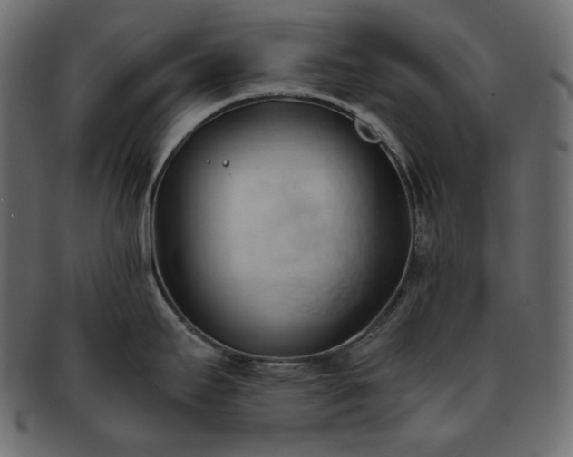 X0000093381295200710191128