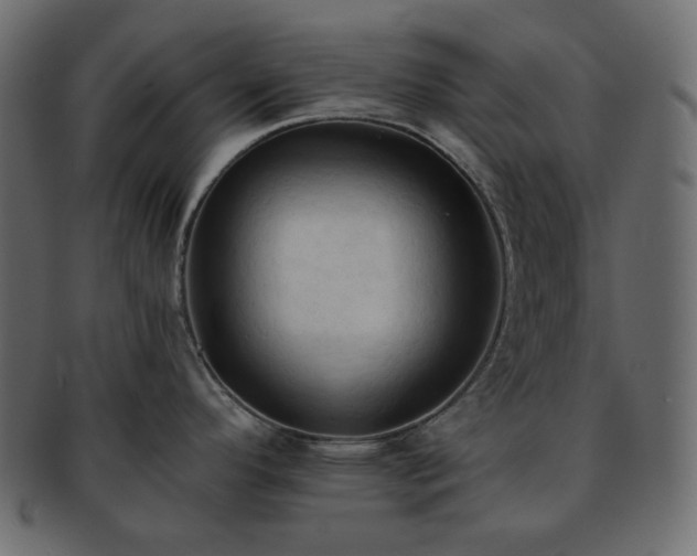 X0000093381296200710191128