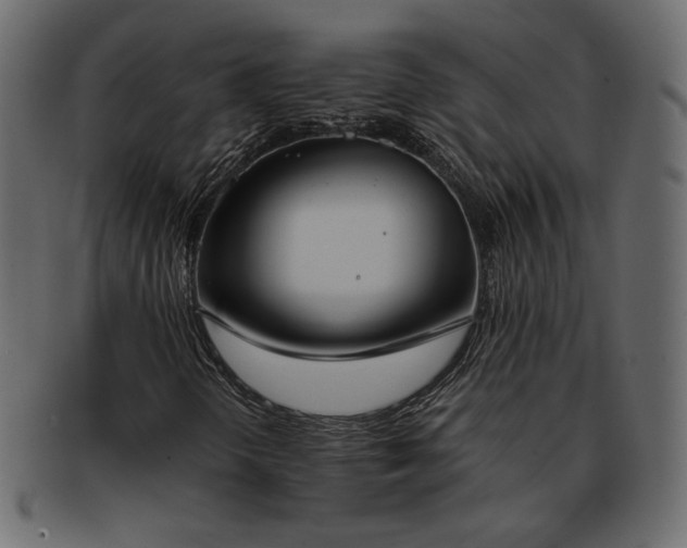 X0000093381298200710191127