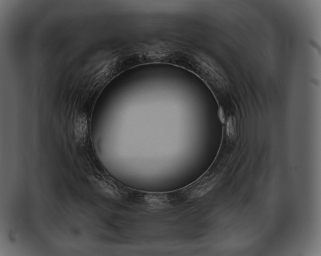 X0000093381299200710191127