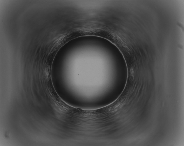 X0000093381300200710191127