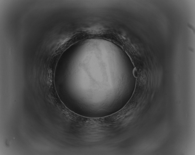 X0000093381301200710191127