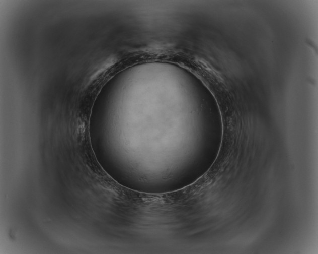 X0000093381302200710191127