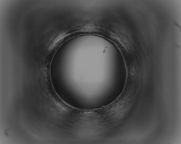 X0000093381304200710191127