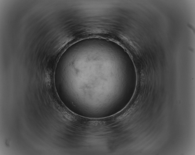 X0000093381305200710191127