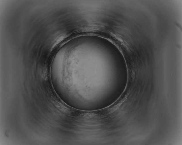 X0000093381306200710191127