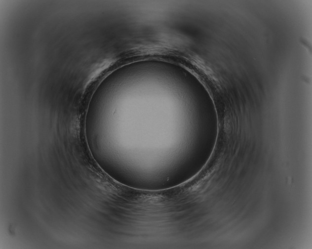 X0000093381309200710191127