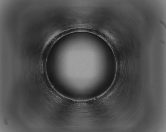 X0000093381310200710191127