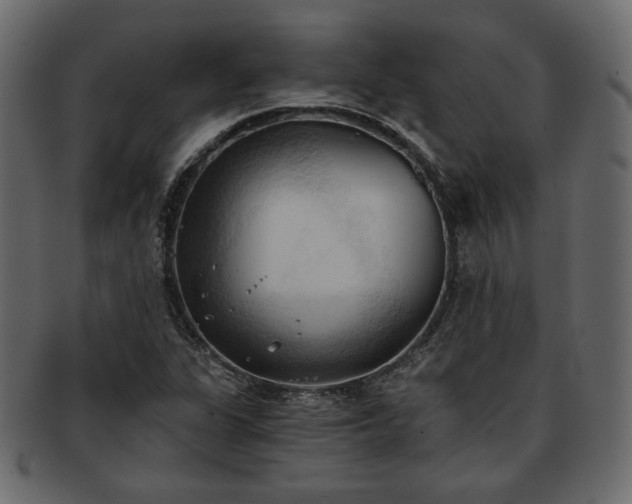 X0000093381311200710191127