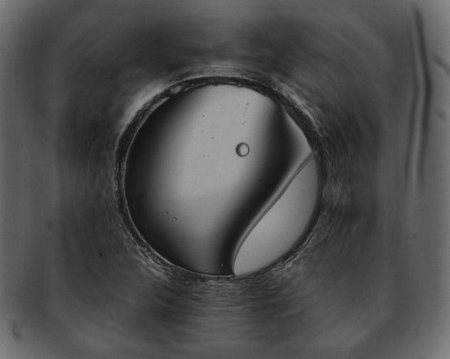 X0000093381312200710191127