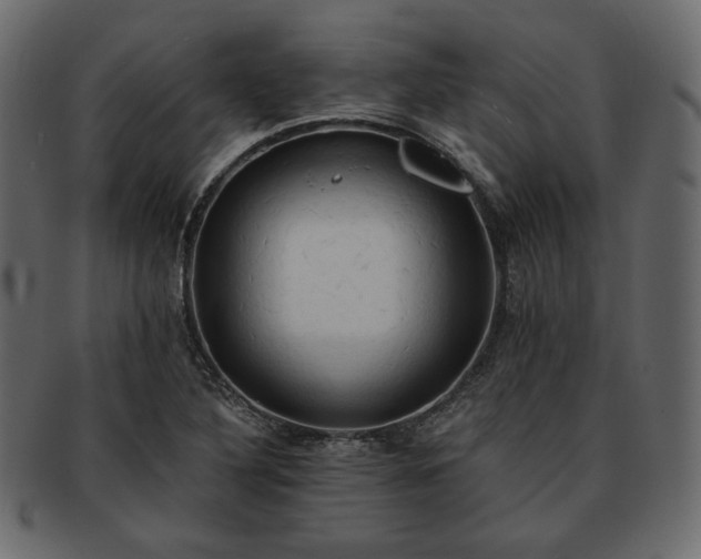 X0000093381316200710191127