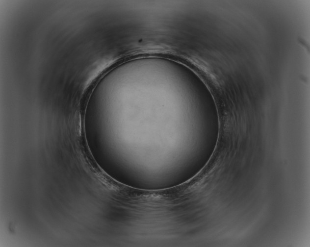 X0000093381317200710191127