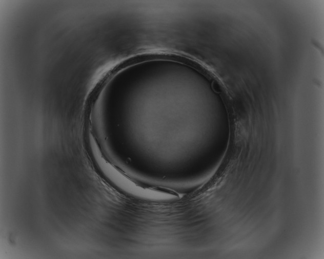 X0000093381319200710191127