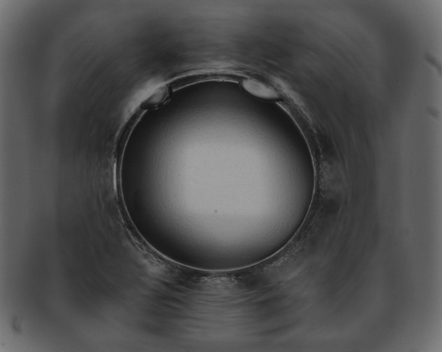 X0000093381320200710191127