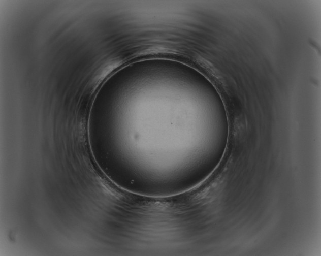 X0000093381321200710191127