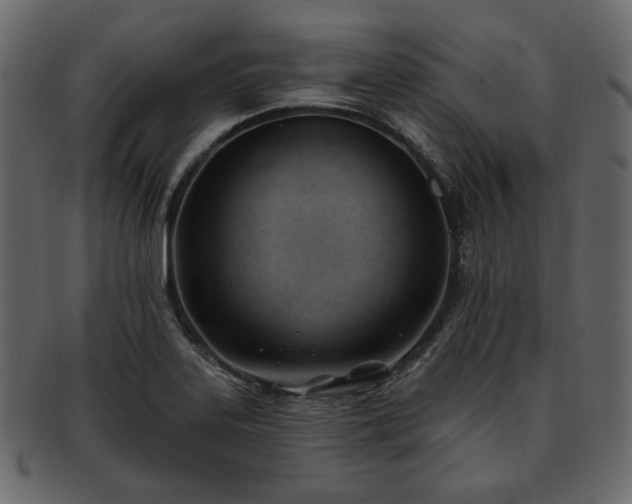 X0000093381323200710191127