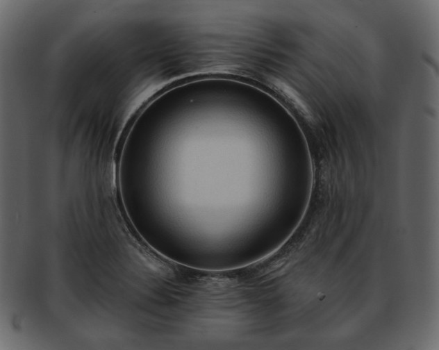 X0000093381324200710191127