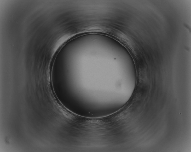 X0000093381328200710191127