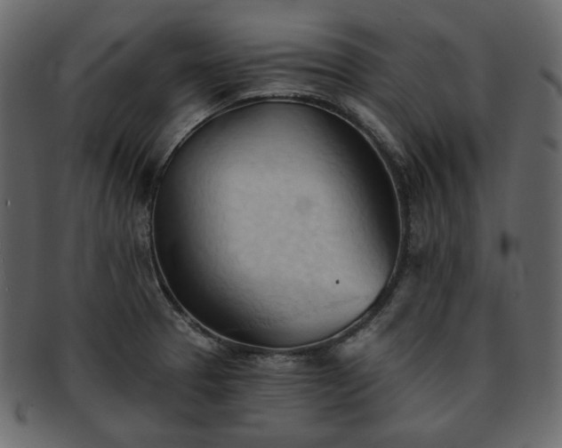 X0000093381329200710191127