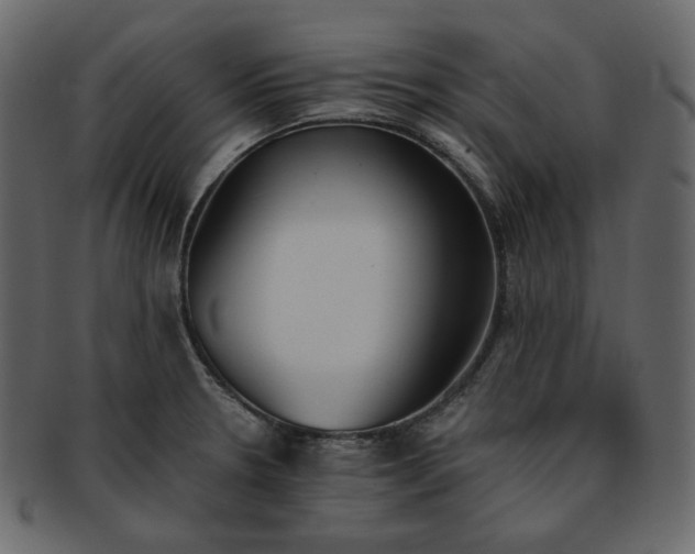 X0000093381330200710191127