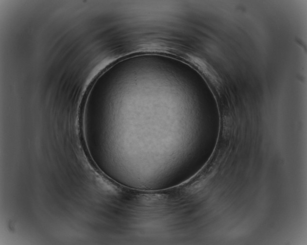 X0000093381331200710191127