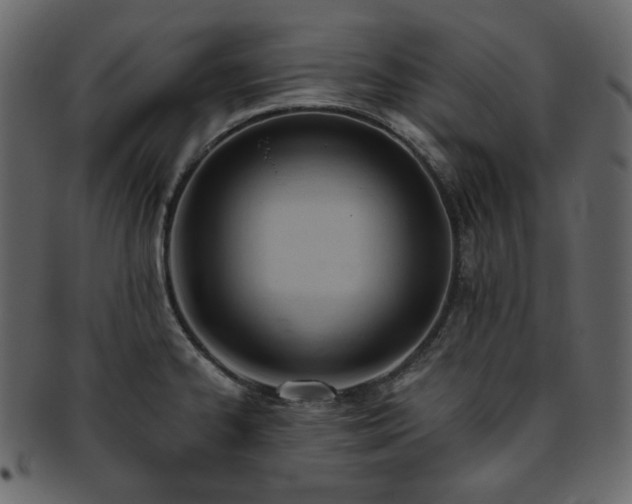 X0000093381334200710191128