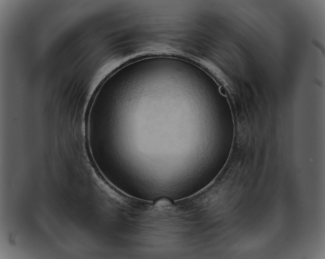 X0000093381335200710191128