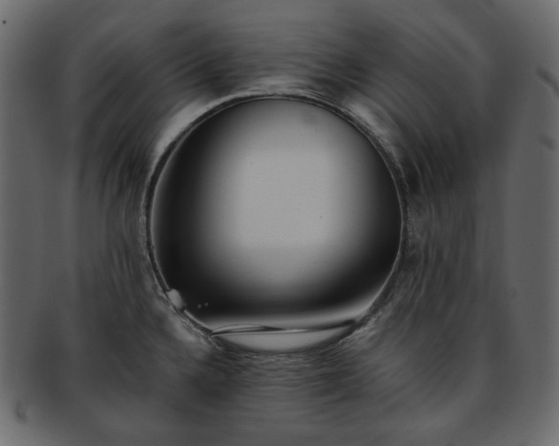 X0000093381336200710191128