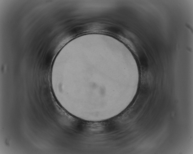 X0000093381338200710191128