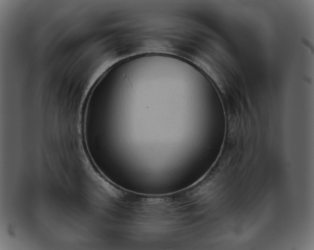 X0000093381339200710191128