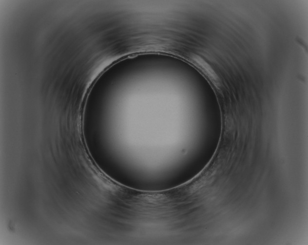 X0000093381340200710191128