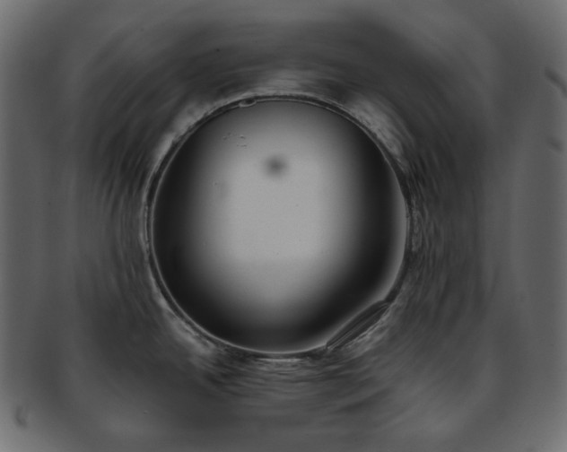 X0000093381342200710191128