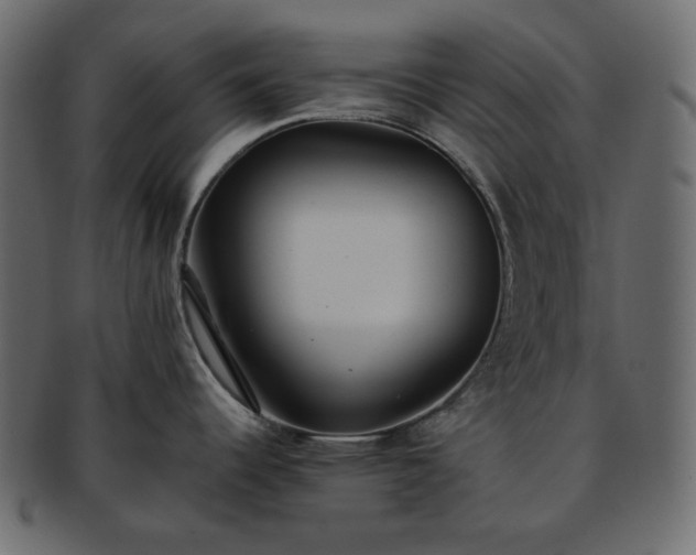 X0000093381344200710191128