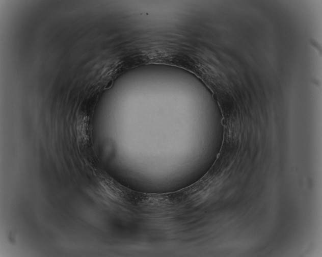X0000093381346200710191127