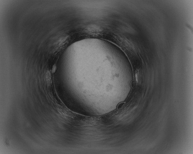 X0000093381347200710191127