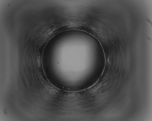 X0000093381348200710191127