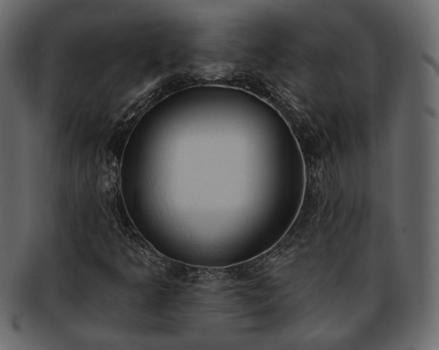 X0000093381349200710191127