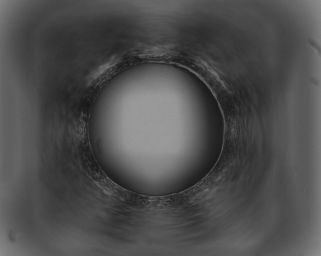 X0000093381350200710191127