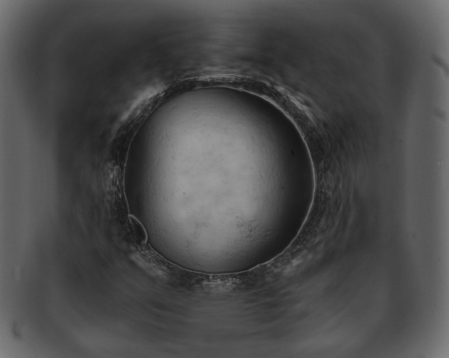 X0000093381351200710191127