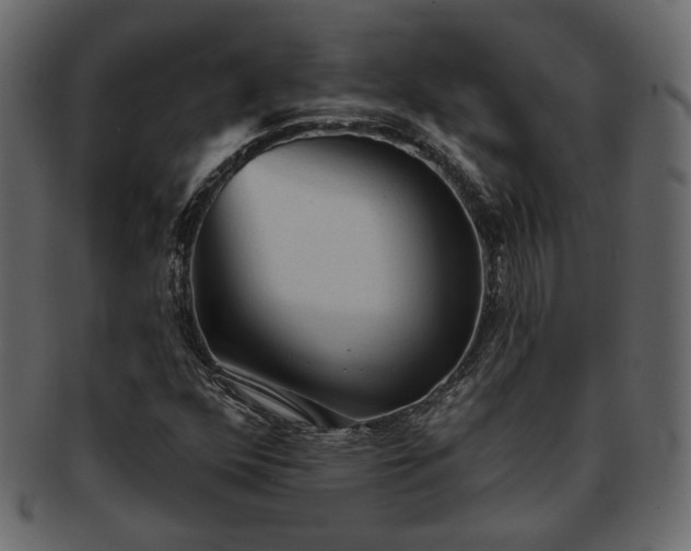 X0000093381352200710191127