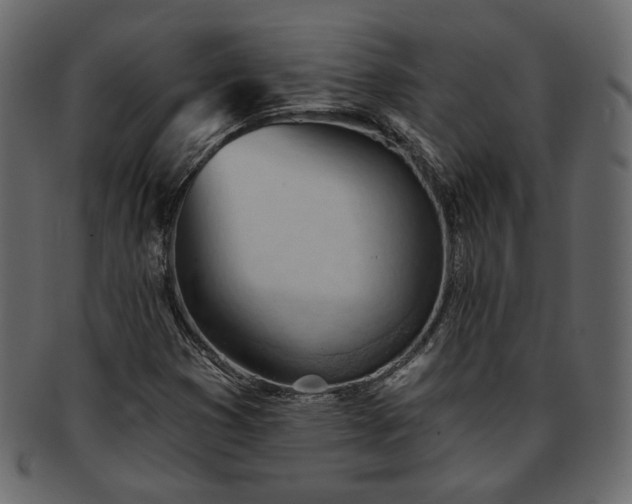 X0000093381353200710191127