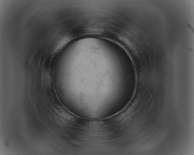 X0000093381354200710191127