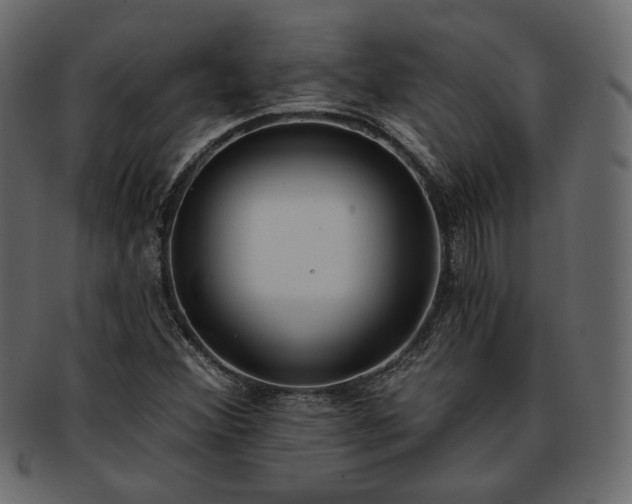X0000093381356200710191127