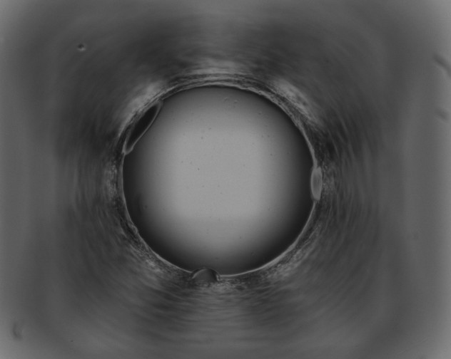 X0000093381357200710191127