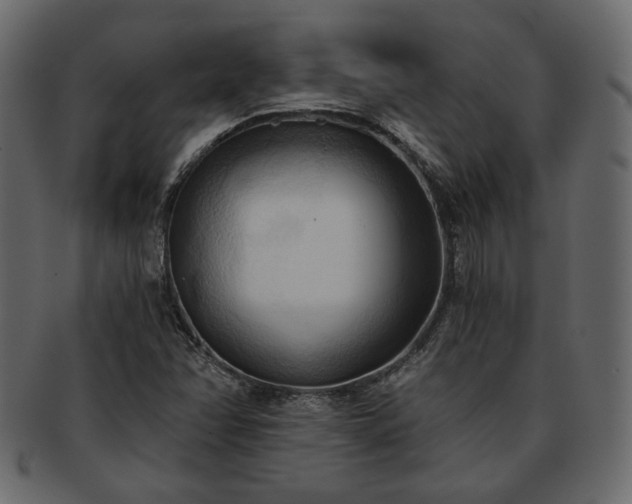 X0000093381358200710191127