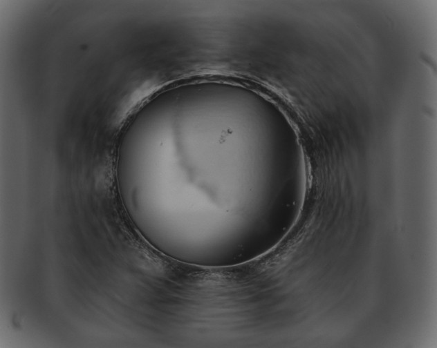 X0000093381359200710191127