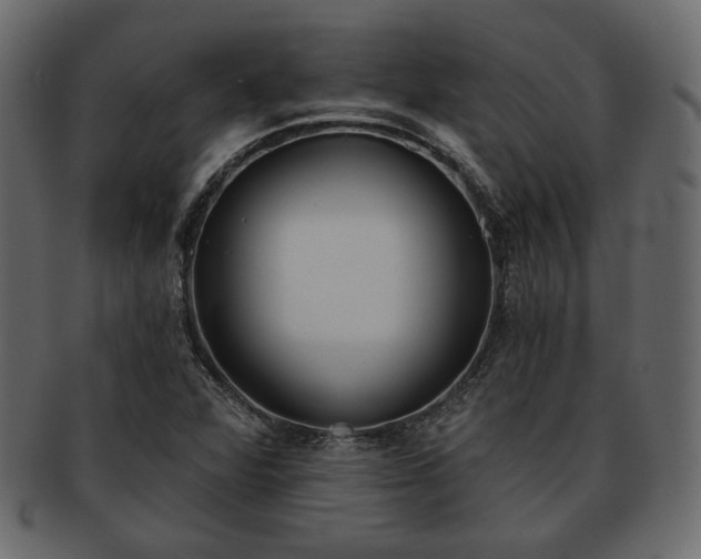 X0000093381360200710191127