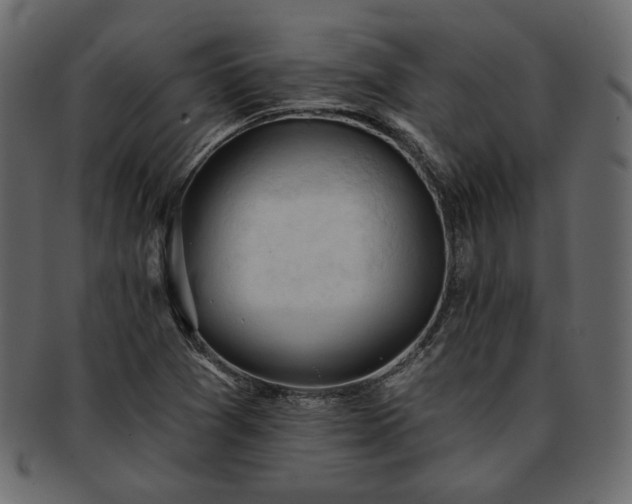 X0000093381361200710191127