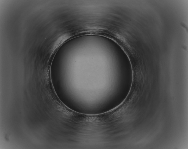 X0000093381362200710191127
