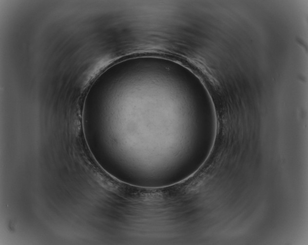 X0000093381363200710191127